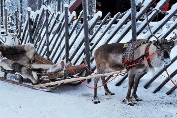 Санкт-Петербург: Единство города и человека: новости культуры 