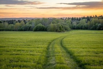 Мир: Решающие десять лет для экологии
