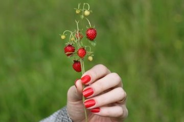 Россия: Пробуем грибы со вкусом земляники улавливая сверхбыстрые сигналы мозга