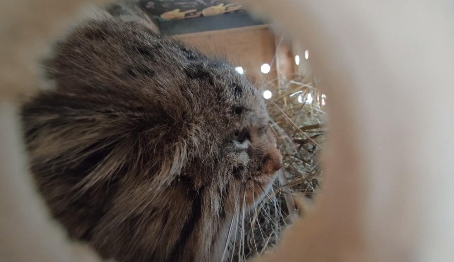 Добрые новости недели