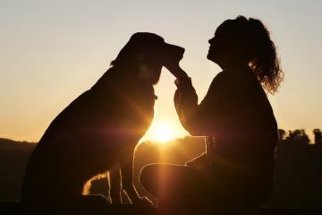 Россия: Изменчивая мода на породы собак
