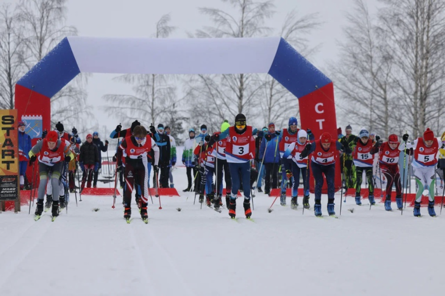 Добрые новости недели