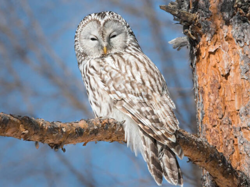 Добрые новости недели