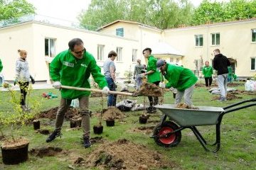 Санкт-Петербург: Делаем город изумрудным