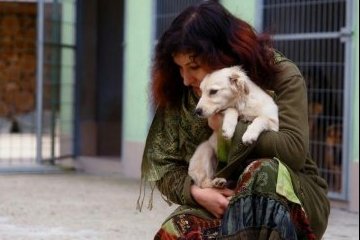 Санкт-Петербург: Улучшение экологии помогает животным